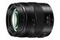 Panasonic Rio H-Hsa12035E Slr Standard Zoom Lens Black