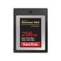 Sandisk Memory Card 256 Gb Cfexpress