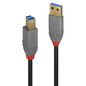 Lindy 2M Usb 3.2 Type A To B Cable, Anthra Line