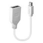 Lindy Adapter Cable Mini-Dp (M)/Dp (F) Premium Shielded