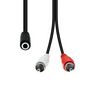 ProXtend Mini-Jack 3-Pin to 2 x RCA Cable F-M Black 20cm