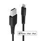 Lindy 0.5m USB Type A to Lightning Cable, Black