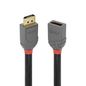 Lindy 2m DisplayPort 1.4 Extension Cable, Anthra Line