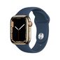 Apple Watch Series 7 Oled 41 Mm Digital 352 X 430 Pixels Touchscreen 4G Gold Wi-Fi Gps (Satellite)