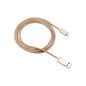 Canyon Lightning Cable 0.96 M Gold
