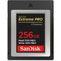 Sandisk Extreme Pro 256 Gb Compactflash