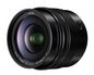 Panasonic H-X012E Camera Lens Slr Ultra-Wide Lens Black