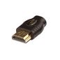 Lindy 41083 changeur de genre de câble HDMI Micro HDMI Noir