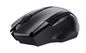 Trust Gxt 131 Ranoo Mouse Right-Hand Rf Wireless Optical 4800 Dpi