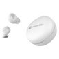 Motorola Verve Buds 250 Headset Wireless In-Ear Calls/Music Micro-Usb Bluetooth White