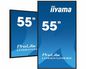 iiyama 55" 3840x2160, 4K UHD IPS panel, 1% Haze, Landscape and Portrait mode, Speakers 2x 10W , VGA, 3x HDMI