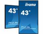 iiyama 43" 3840x2160, 4K UHD IPS panel, 1% Haze, Landscape and Portrait mode, Speakers 2x 10W , VGA, 3x HDMI