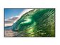 Philips 65" D-LED ECO-design 4K Display, Android10, 18/7 landscape/portrait, 350cd/m², energy label D, WAVE