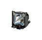 Optoma Projector Lamp for DS349/DS441/DW349/DX349/DX441/S341/W340/W341/X341/X344 with Module