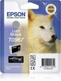 Epson Singlepack Light Black T0967
