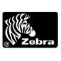 Zebra Z-Ultimate 3000T - White