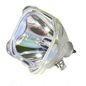 Projector Lamp for Boxlight ML11965, MP40T-930, MICROLAMP