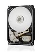 HGST 8TB, SAS 12Gb/s, ISE, 8.89 cm (3.5 ") , 7200 rpm, 128MB, 512 Byes/sector, HDD in Carrier, CRU, Single Pack