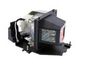 Projector Lamp for Optoma BL-FP180B / SP.82Y01GC01, MICROLAMP